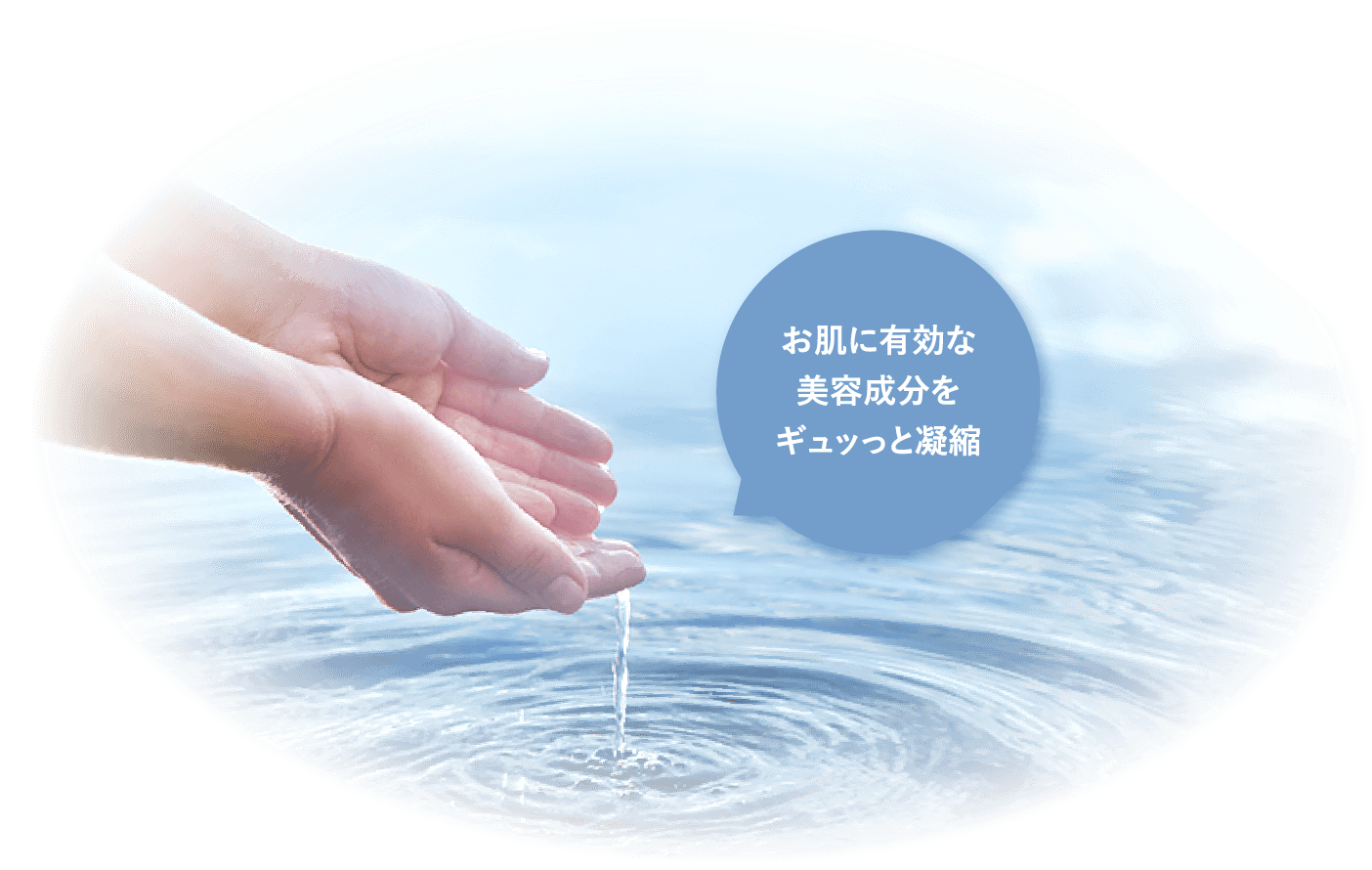 お肌に有効な美容成分をギュッっと凝縮