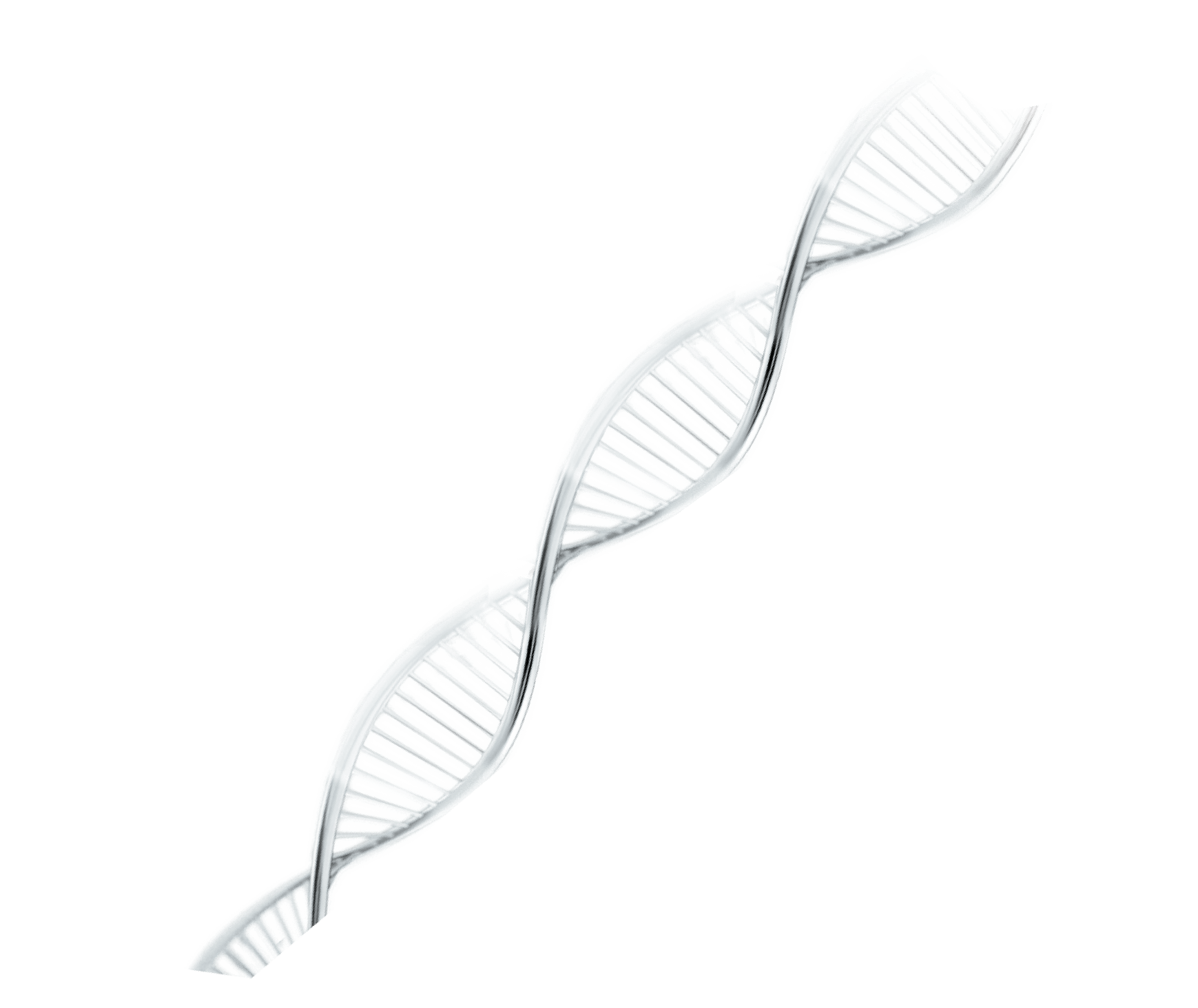 neuvis cell