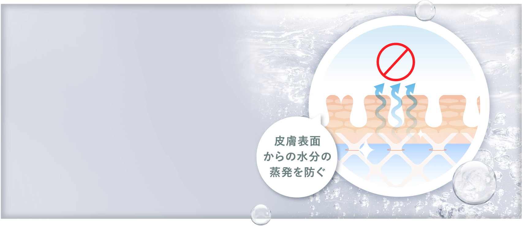 肌が本来持っているポテンシャルを引き上げる