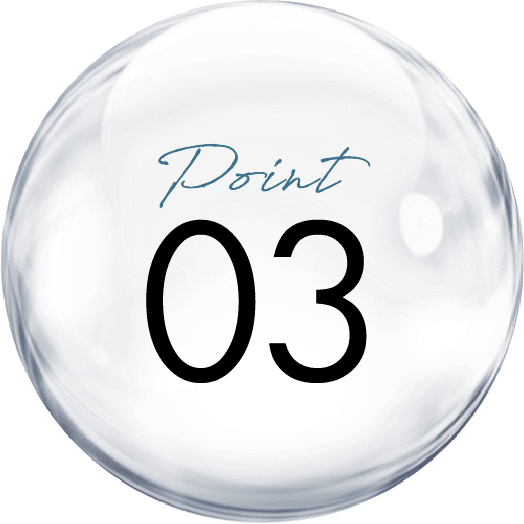 Point 03