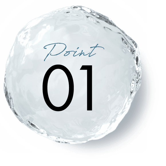 Point 01