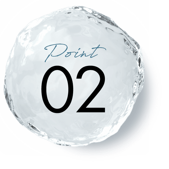 Point 02