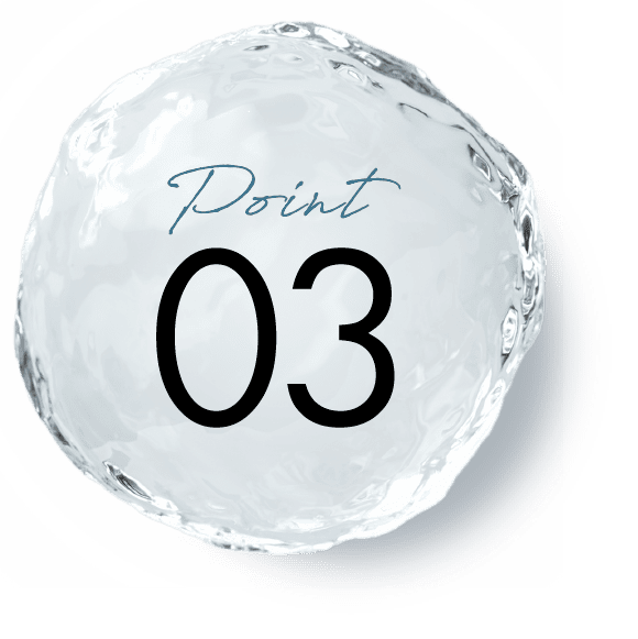 Point 03